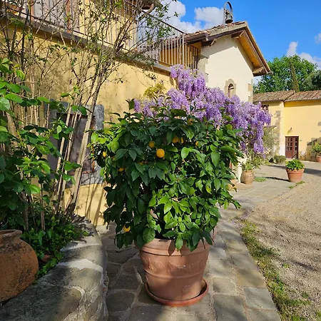 Villa Rigacci Hotel-2